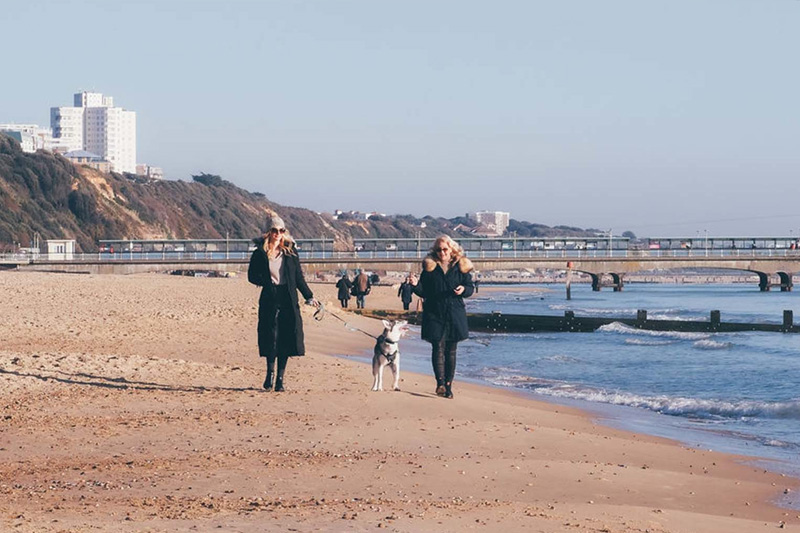 Dog Walk - Bournemouth Beach